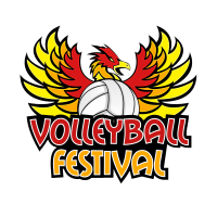 Volleyball Festival