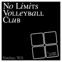 No Limits Volleyball 2024